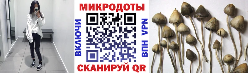 Галлюциногенные грибы Cubensis Иноземцево